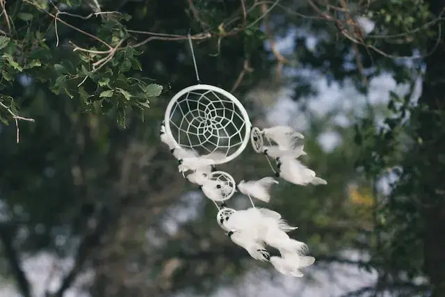 web woven dream catcher