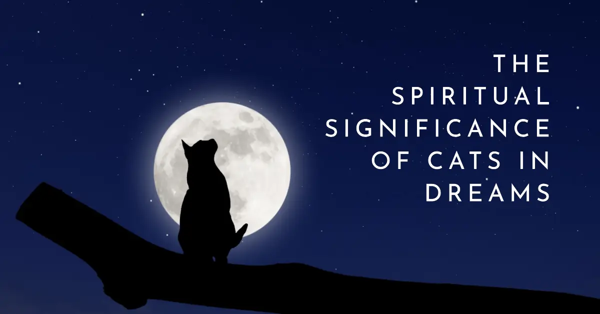 The Spiritual Meaning of Cats in Dreams