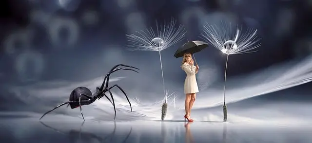 dream and spiders